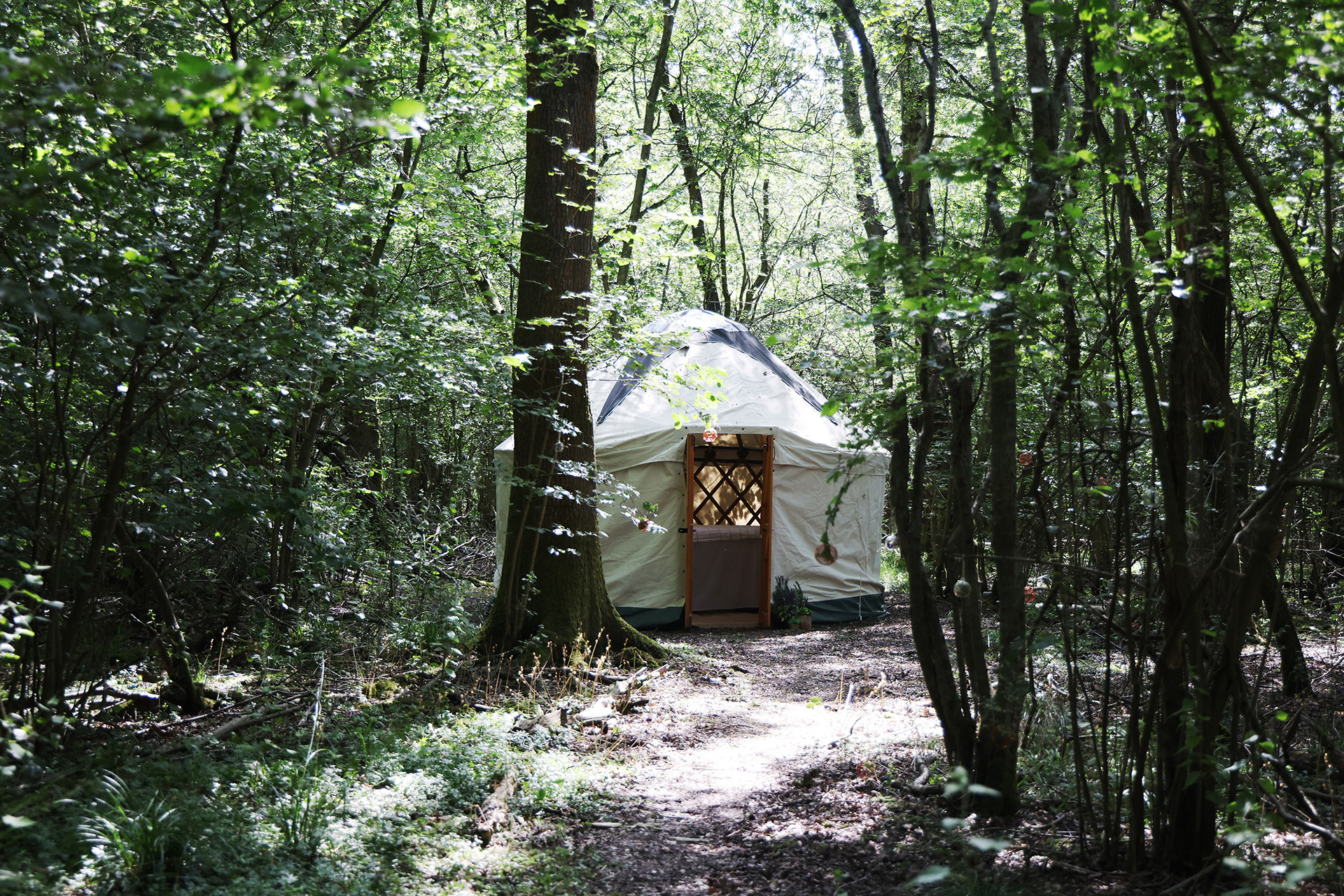 Woodland paths through The Ridings glamping site