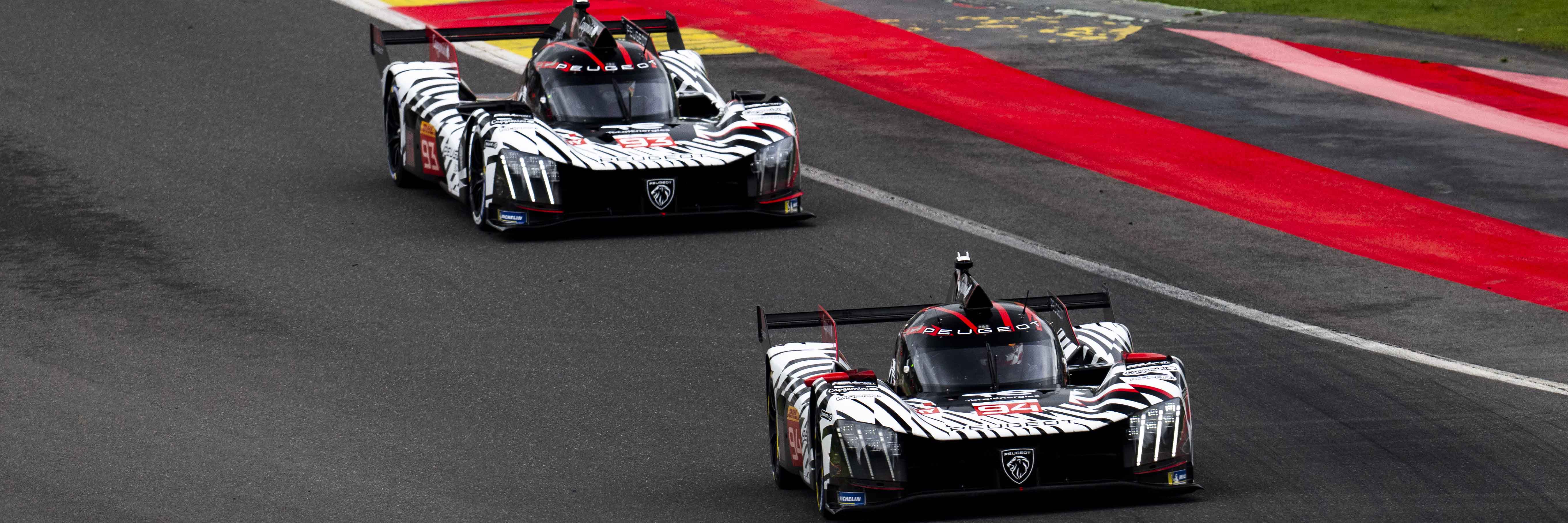 Two hypercar Peugeot cars on track in WEC