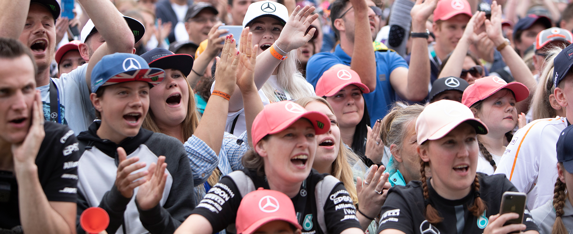 F1 fans with their arms up in the air