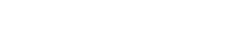 Air Charter Service