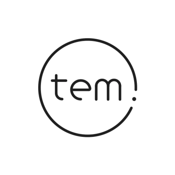 tem energy logo