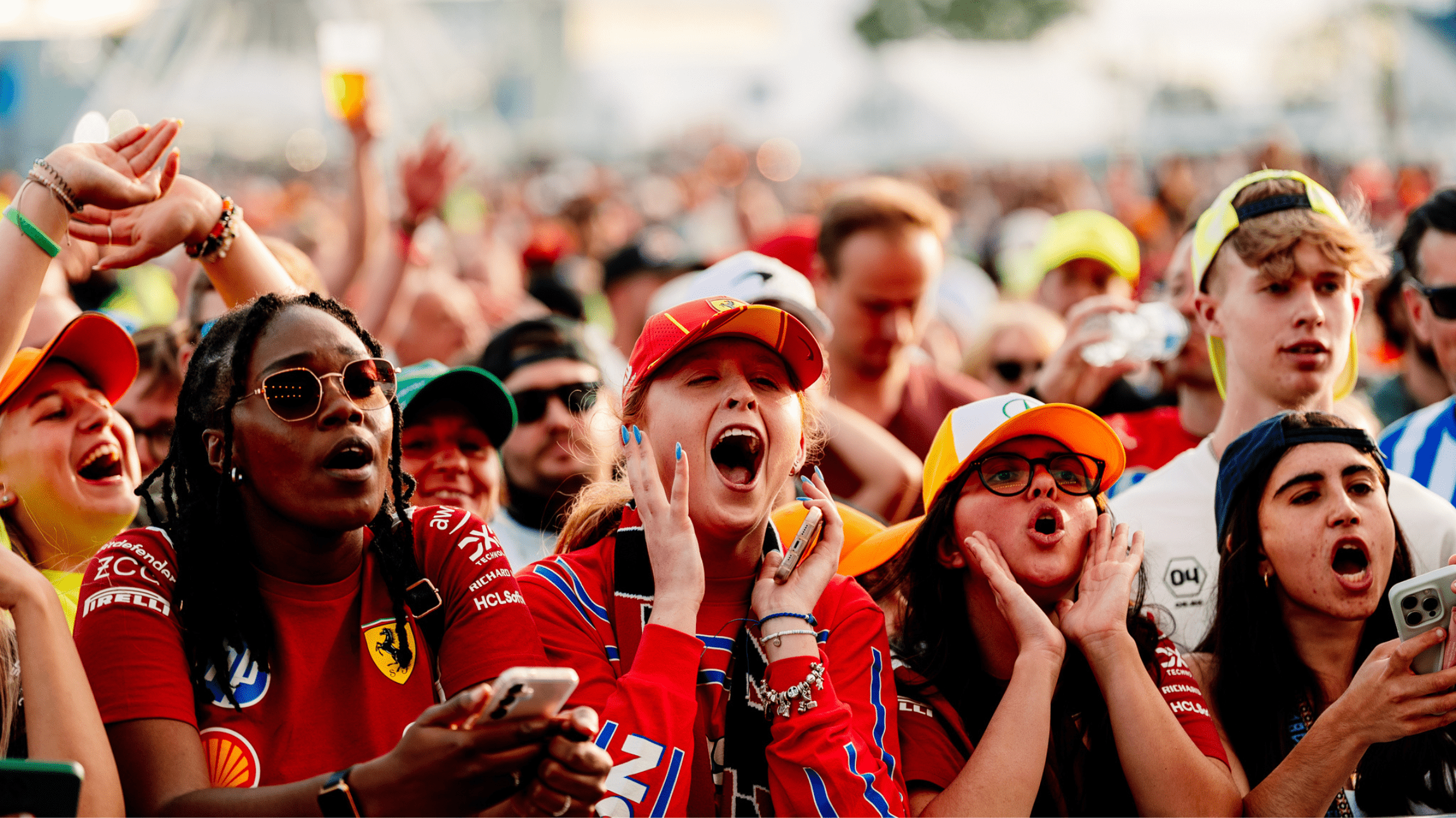 fans at the british grand prix