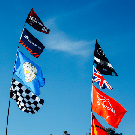 woodcote fields 2026 flags