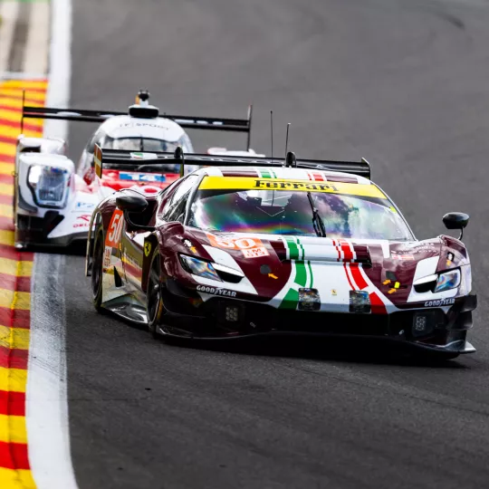 ELMS ON TRACK
