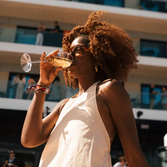 Red Bull Pole Position