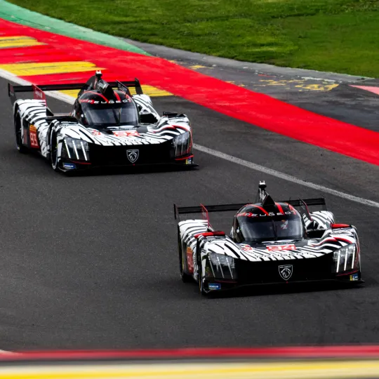 world endurance championship
