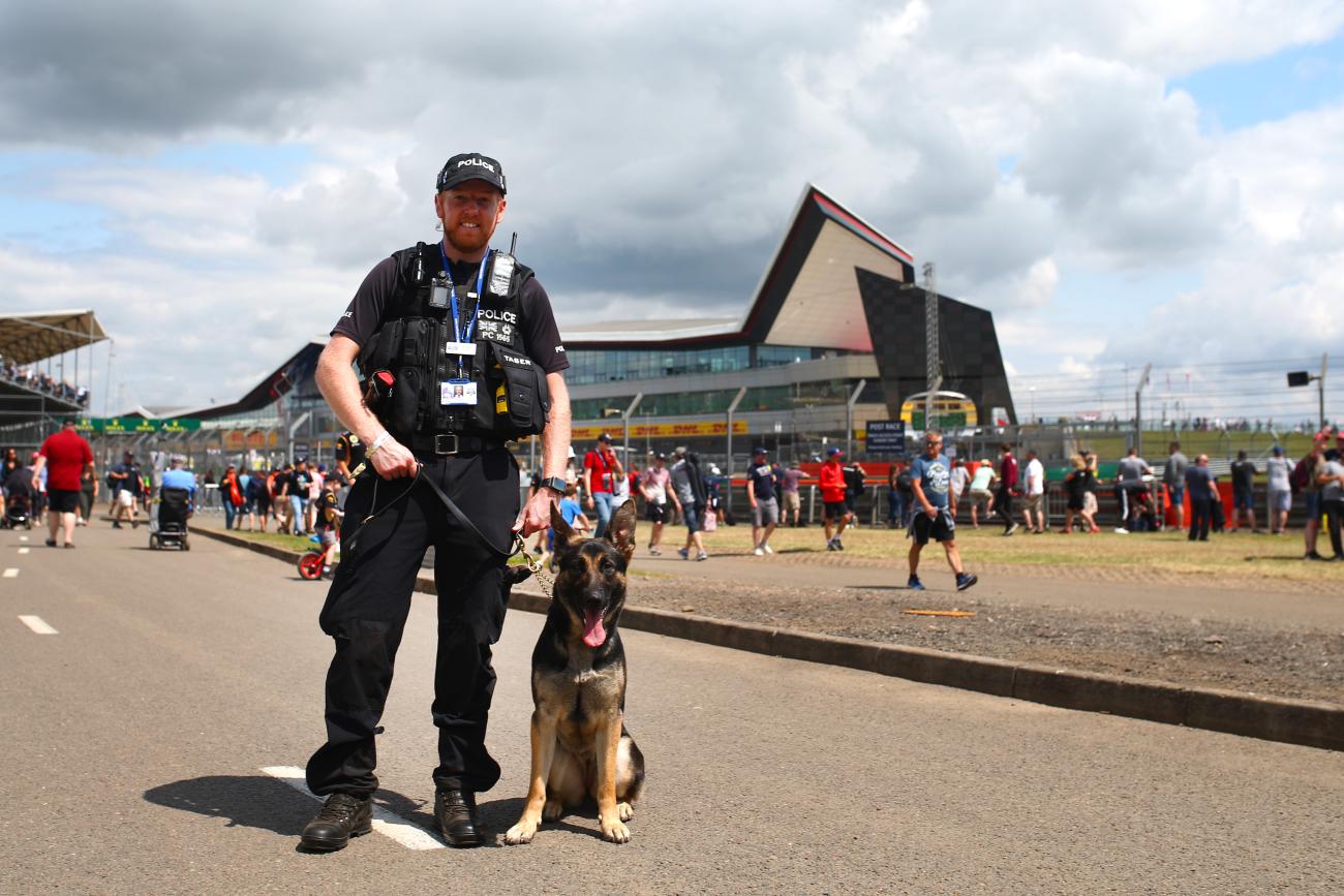 police-dog-f1