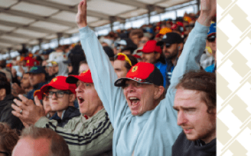 fans in grandstand